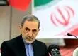 ولایتی: امنیت امروز باب المندب، نباید دشمن را دچار خطای محاسباتی کند