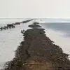 ۷۰ درصد هورالعظیم خشک است