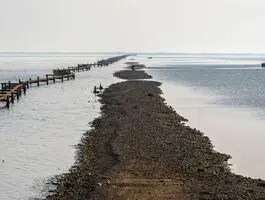 ۷۰ درصد هورالعظیم خشک است