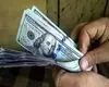 قیمت دلار ۱۳ بهمن؛ قیمت دلار۳ هزار تومان کاهش یافت