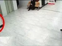 درگیری مادر قمی و یک روحانی؛ قانون درباره جرم آنها چه می‌گوید؟