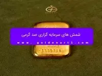 شمش ۱۰۰ گرمی گلستانه