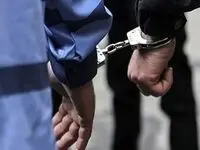 متهم به قتل دانشجوی دانشگاه تهران: دو سه ضربه به مقتول زدم/ ویدئو
