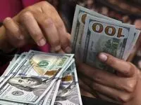 قیمت دلار، یورو و سایر ارزها امروز ۱۴ بهمن/ ریزش دلار تند شد