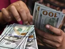 قیمت دلار، یورو و سایر ارزها امروز ۱۴ بهمن/ ریزش دلار تند شد