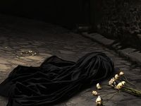 قتل ۱۴ زن در ۴۰ روز؛ بحران زن‌کشی و بی‌قانونی ادامه دارد