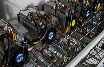 ضرب‌ و شتم مدیر برق عسلویه هنگام جمع‌آوری ماینرهای غیرمجاز
