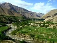 مجری صداوسیما: به افغانستان و سوریه مهاجرت کنید!