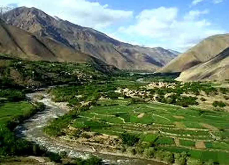 مجری صداوسیما: به افغانستان و سوریه مهاجرت کنید!