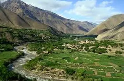 مجری صداوسیما: به افغانستان و سوریه مهاجرت کنید!