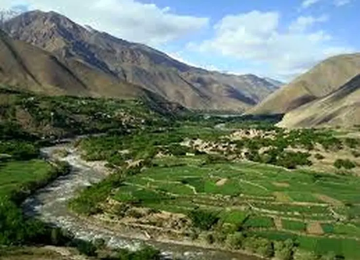 مجری صداوسیما: به افغانستان و سوریه مهاجرت کنید!