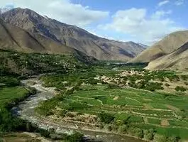 مجری صداوسیما: به افغانستان و سوریه مهاجرت کنید!
