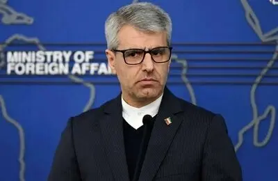 اسماعیل بقایی از فرصت از دست رفته ی عمان گفت